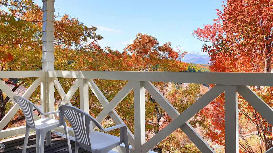 Resort Villa Takayama: A Forest Cottage Under a Starry Sky