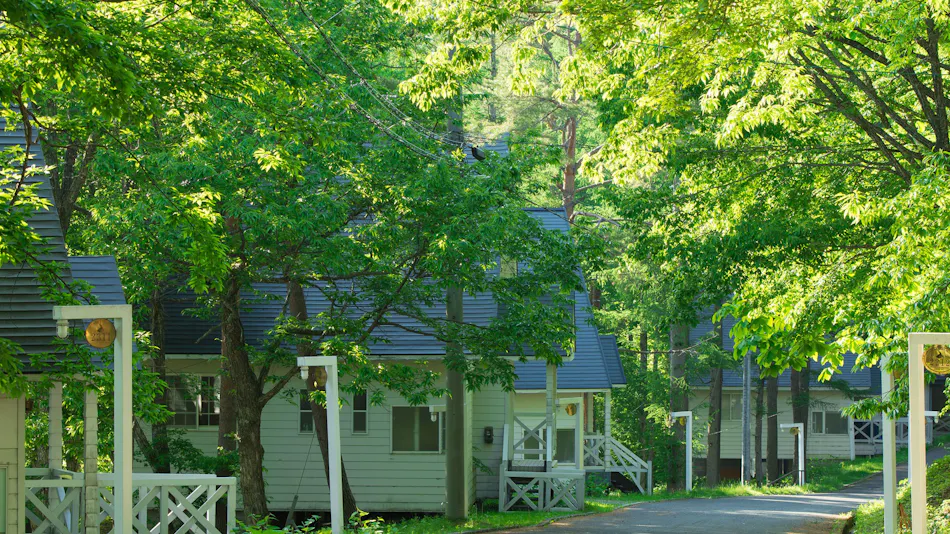 Resort Villa Takayama: A Forest Cottage Under a Starry Sky
