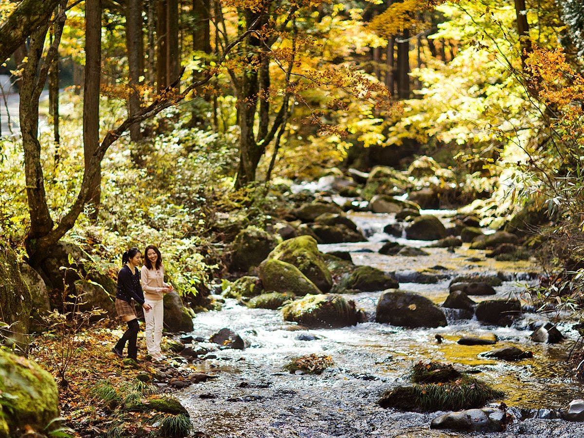 リゾートヴィラ高山 高山 森のコテージ ヴィラージュ荘川高原 の宿泊プラン 予約 Yahoo トラベル