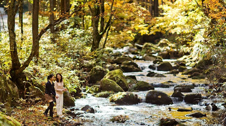 リゾートヴィラ高山 高山 森のコテージ ヴィラージュ荘川高原 の宿泊プラン 予約 Yahoo トラベル リゾートヴィラ高山 高山 森のコテージ ヴィラージュ荘川高原 の宿泊プラン 予約 Yahoo トラベル