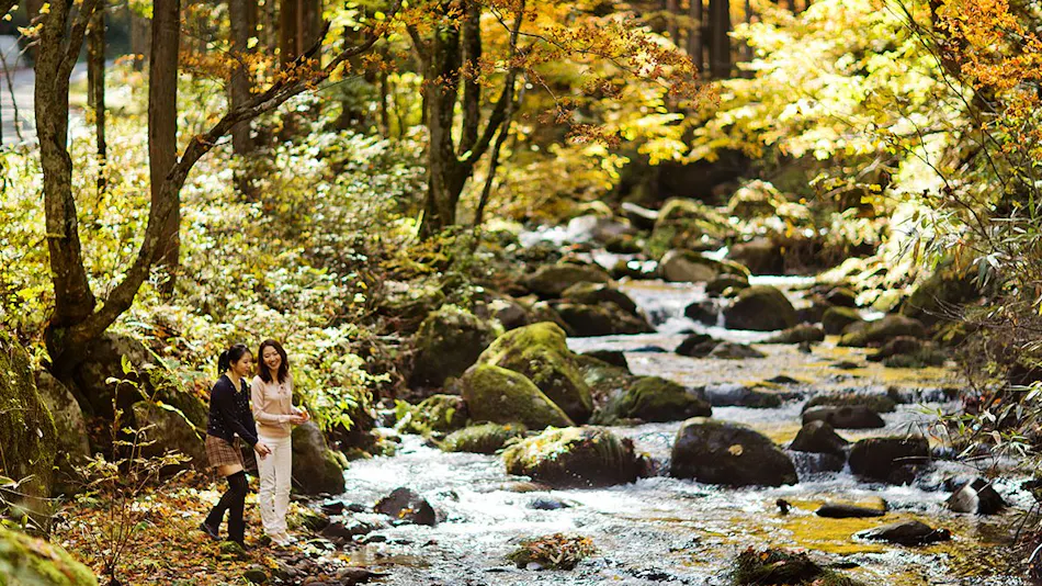 Resort Villa Takayama: A Forest Cottage Under a Starry Sky