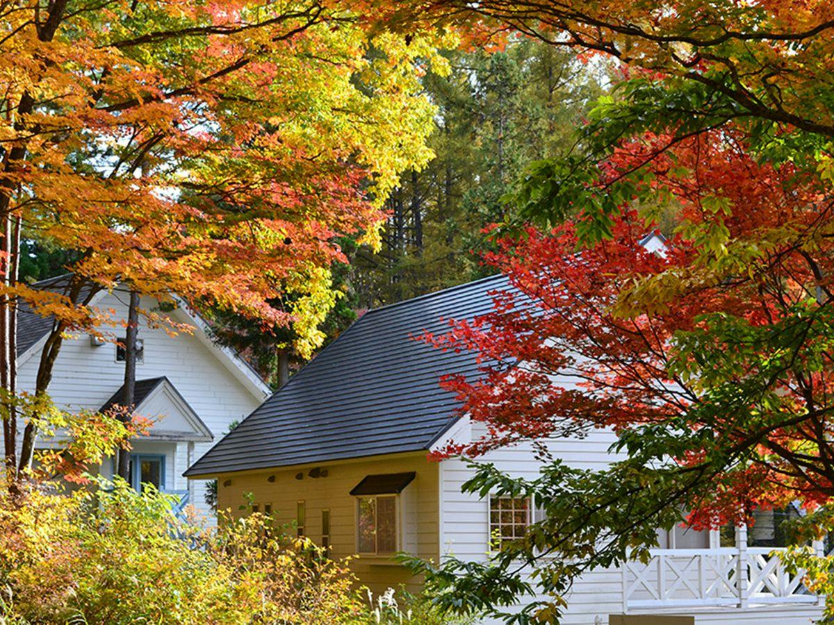 Resort Villa Takayama: A Forest Cottage Under a Starry Sky