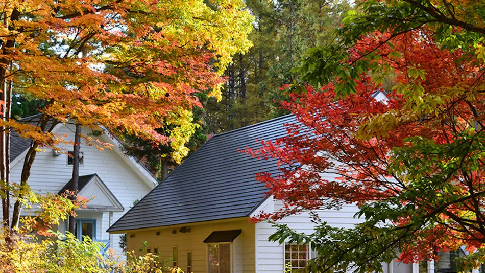Resort Villa Takayama: A Forest Cottage Under a Starry Sky