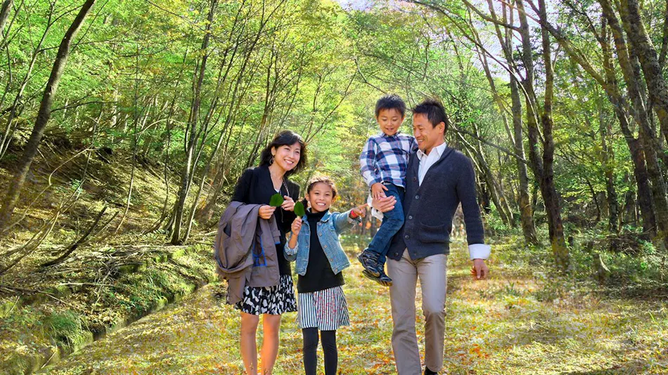 Resort Villa Takayama: A Forest Cottage Under a Starry Sky