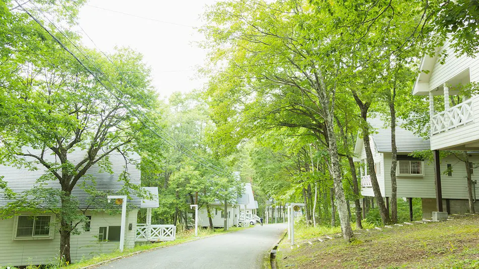 Resort Villa Takayama: A Forest Cottage Under a Starry Sky