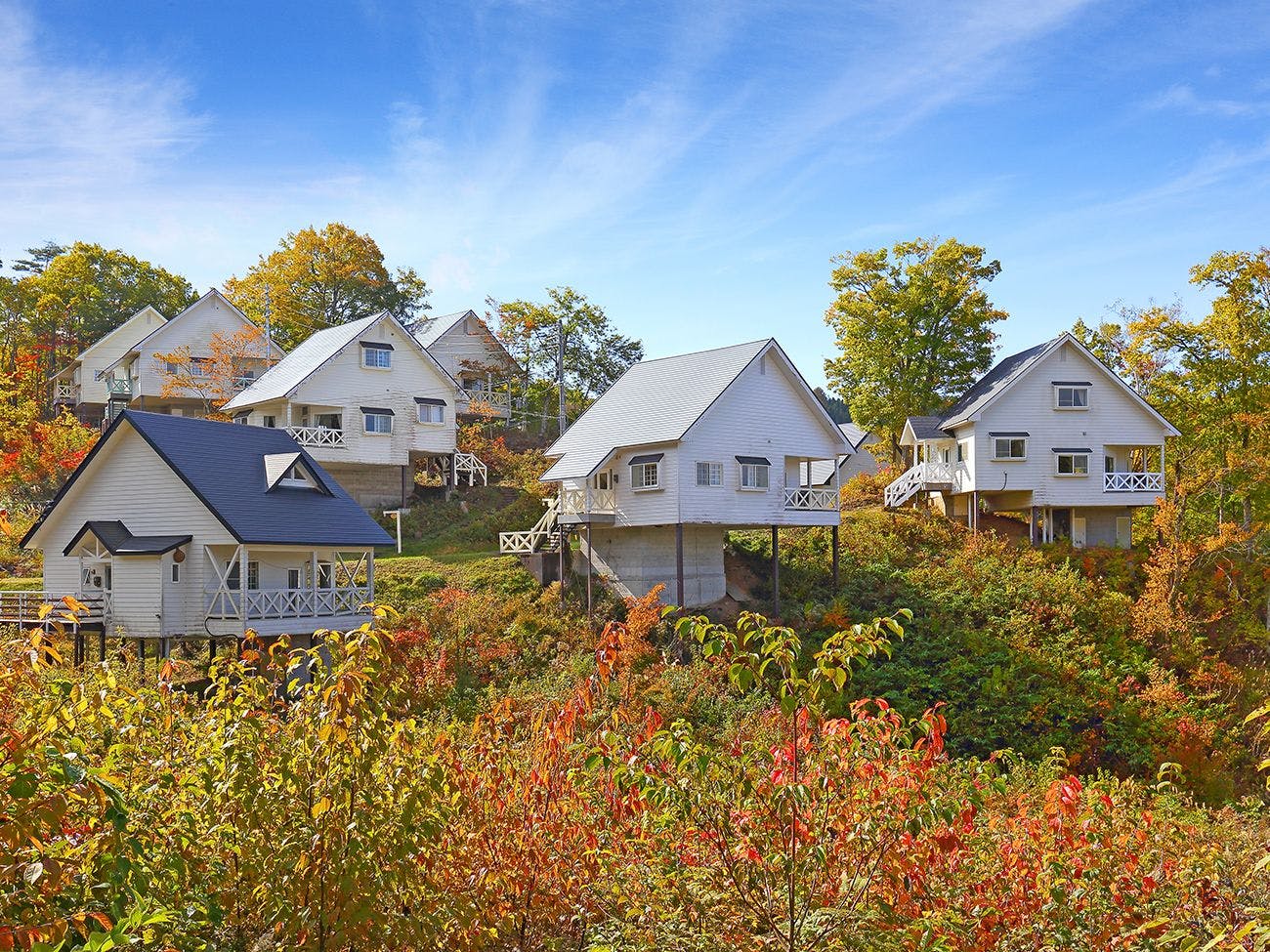 Resort Villa Takayama: A Forest Cottage Under a Starry Sky