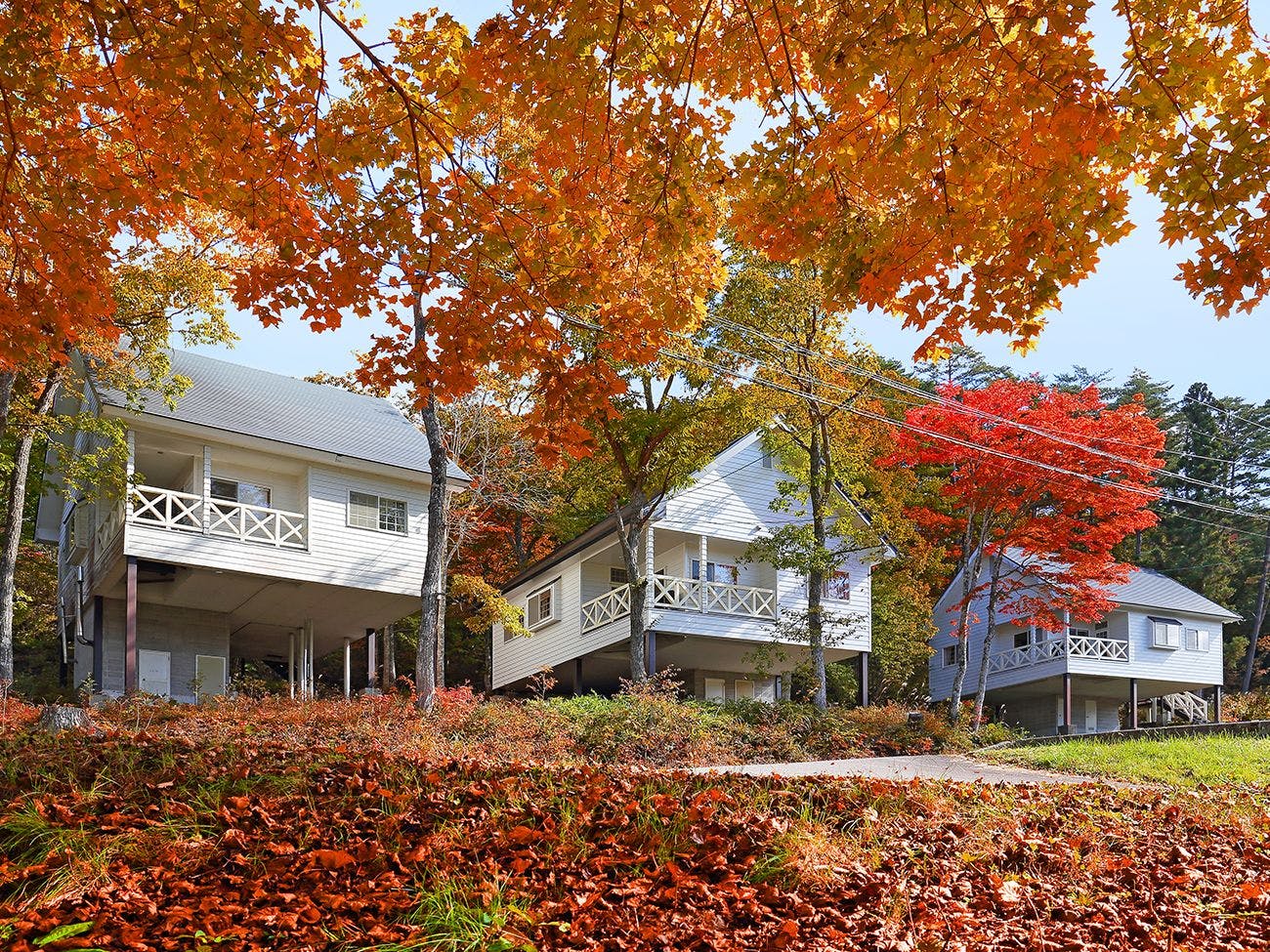 飛騨 高山 白川郷の離れ コテージのお部屋 屋外プールありの おすすめホテル 旅館 お得に宿泊予約 Yahoo トラベル Yahoo トラベル