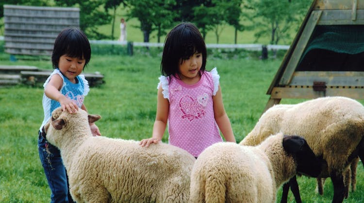 リゾートヴィラ高山 高山 森のコテージ ヴィラージュ荘川高原 の宿泊プラン 予約 Yahoo トラベル リゾートヴィラ高山 高山 森のコテージ ヴィラージュ荘川高原 の宿泊プラン 予約 Yahoo トラベル