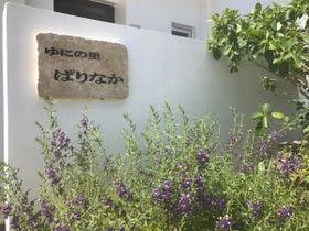 ゆにの里　ぱりなか＜宮古島＞