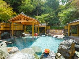 大江戸温泉物語　ホテルレオマの森