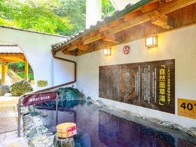 大江戸温泉物語　ホテルレオマの森