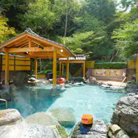 Kolam mandi terbuka besar dikelilingi oleh kehijauan yang menenangkan