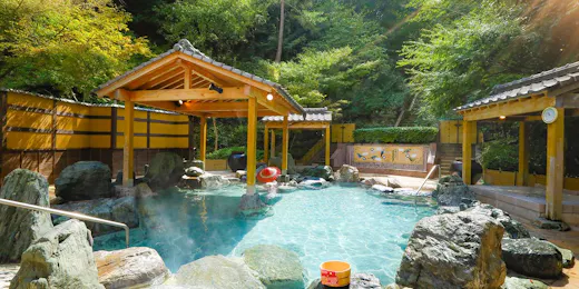 Ooedo Onsen Monogatari Hotel Reoma no Mori