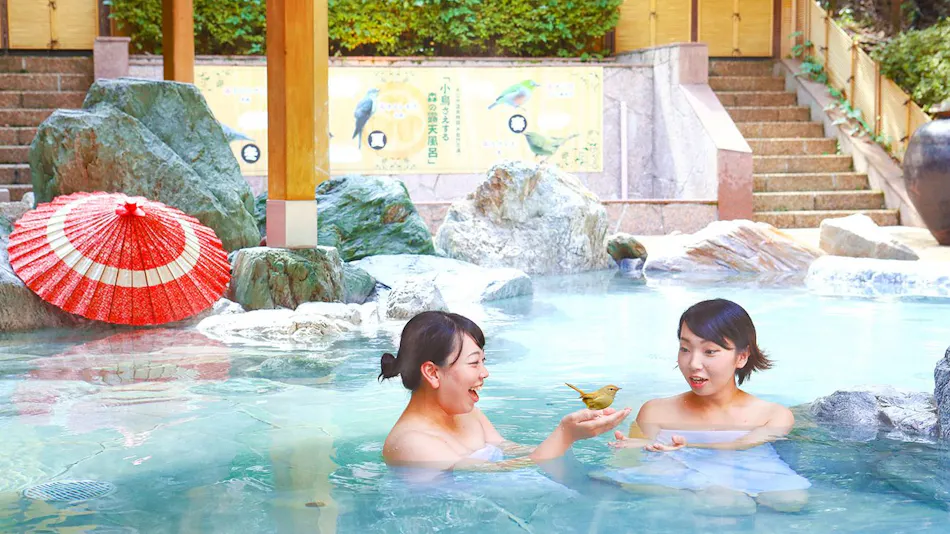 Ooedo Onsen Monogatari Hotel Reoma no Mori