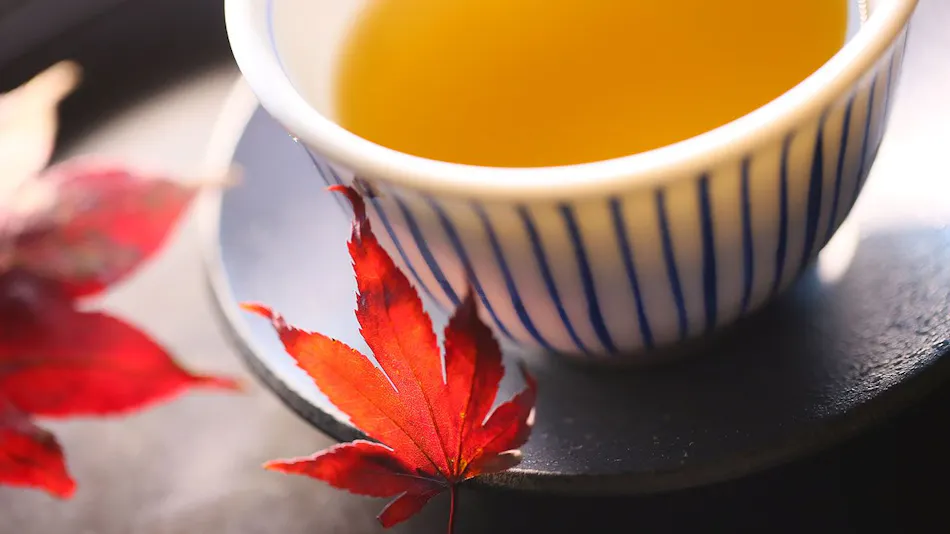 Ooedo Onsen Monogatari Kounkaku