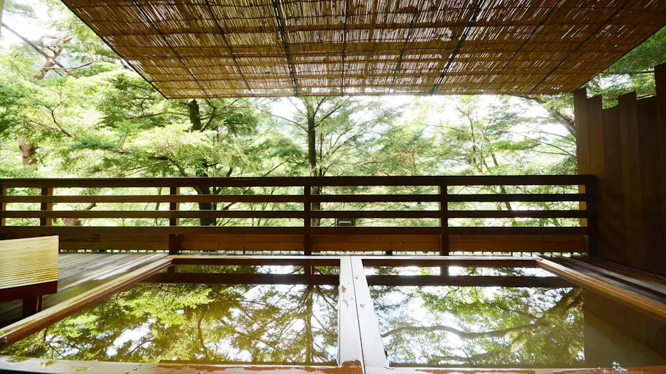 Seseragi no Yado Kinugawa Onsen Hotel Manyoutei