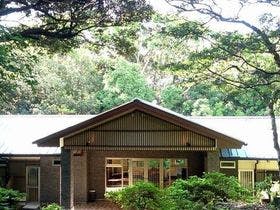 屋久島雫ノ杜　＜屋久島＞