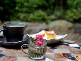 屋久島雫ノ杜　＜屋久島＞