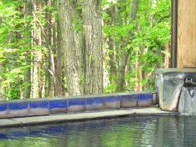 田沢湖高原水沢温泉郷　温泉旅館　青荷山荘