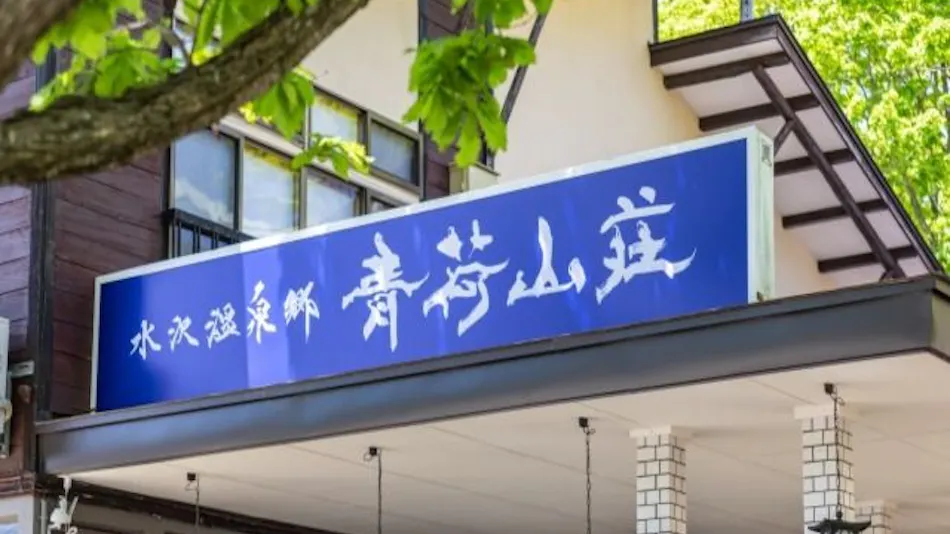 Tazawako Kogen Mizusawa Onsenkyo Ryokan Aoniyama-so