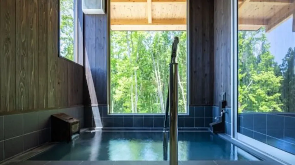 Tazawako Kogen Mizusawa Onsenkyo Ryokan Aoniyama-so