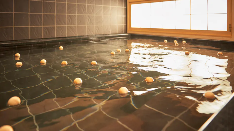 Iyashi-dokoro Hotel Kanraku Honjo Waseda Ekimae