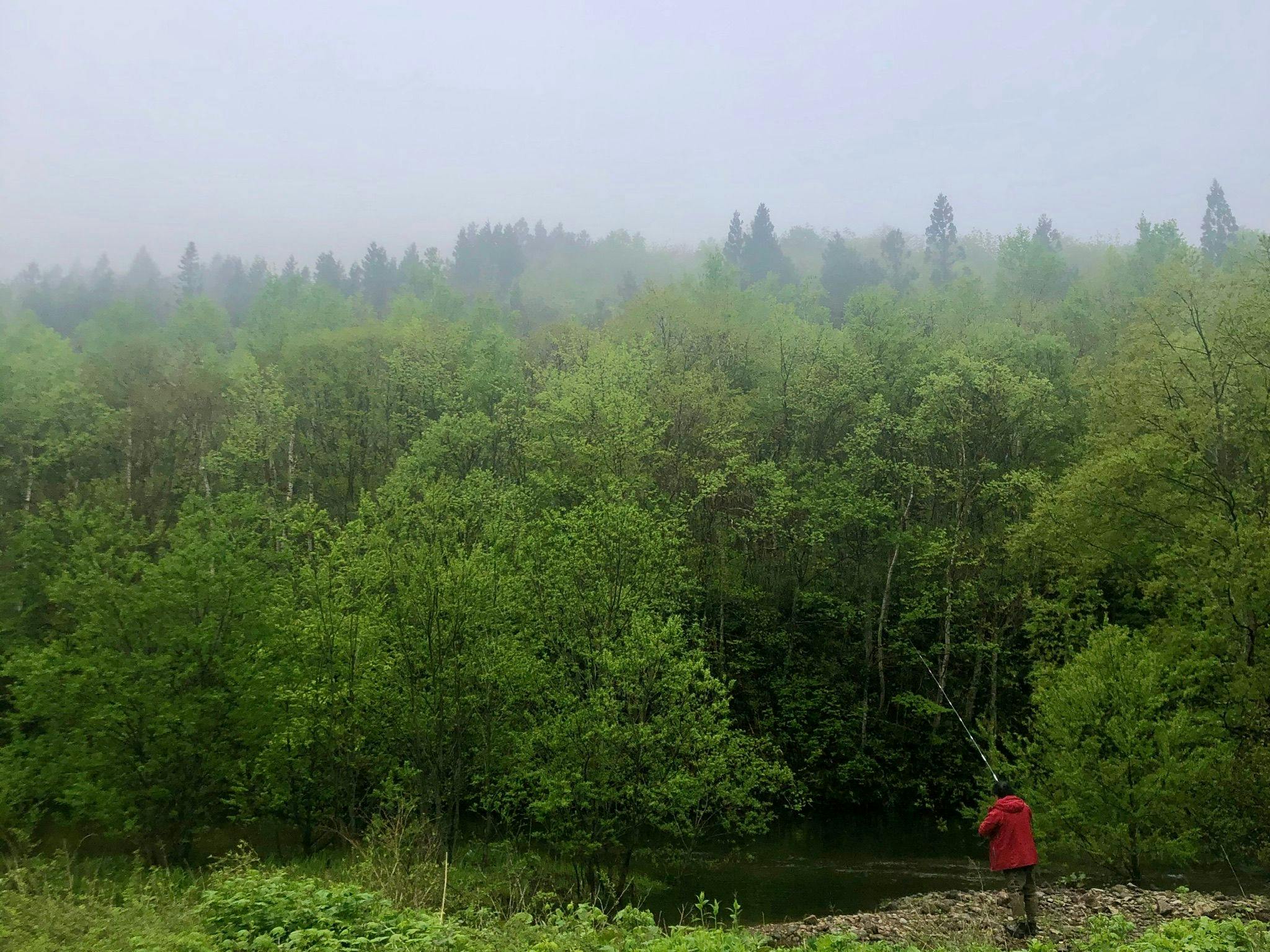 คุณยังสามารถตกปลาอิวานะได้ใกล้ๆ♪