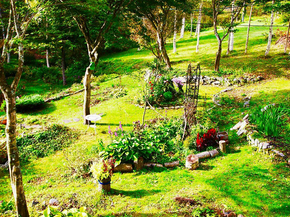 Appi Life is Beautiful