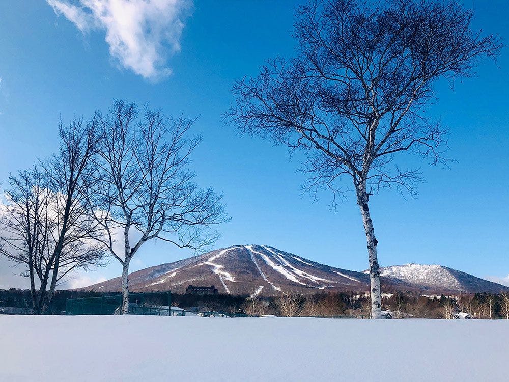 Appi Life is Beautiful