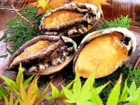 森の宿　遊星館（旧：湯元　塩吹館）