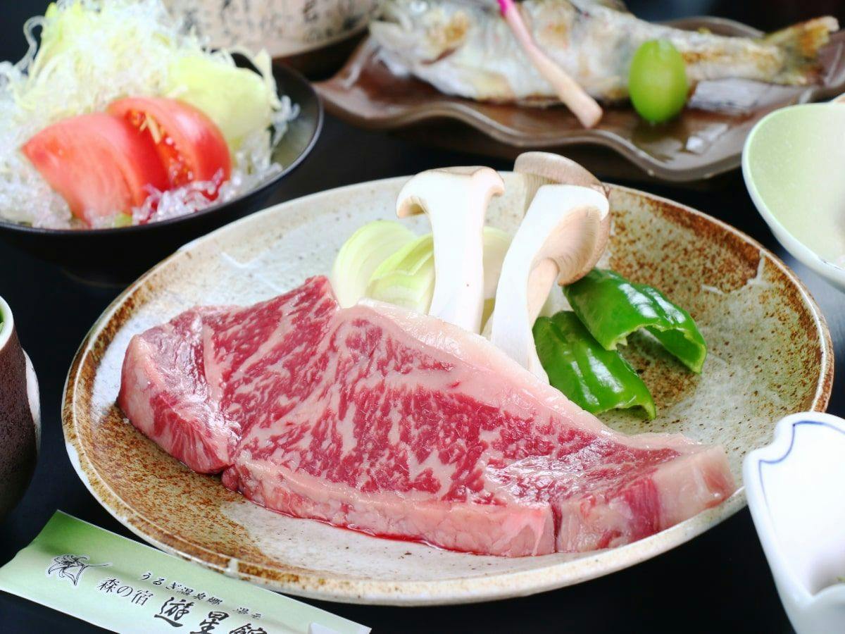 Chausuyama Onsen Mori no Yado Yuseikan
