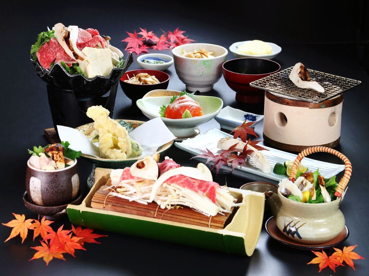 Chausuyama Onsen Mori no Yado Yuseikan