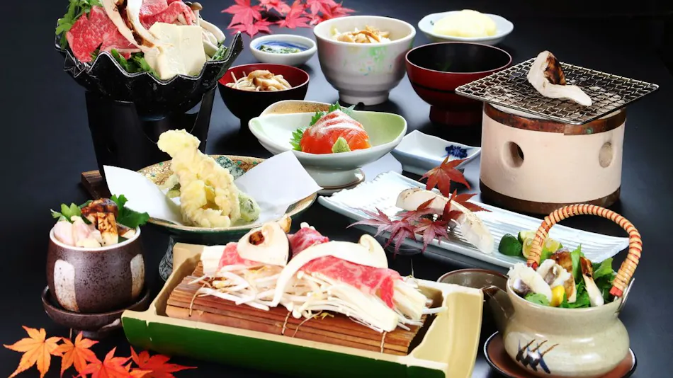 Chausuyama Onsen Mori no Yado Yuseikan