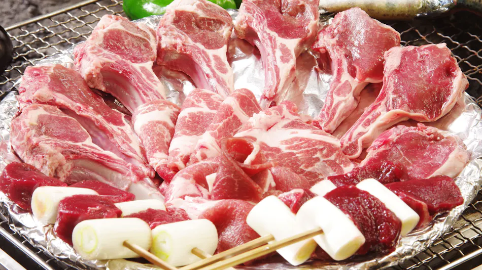 Chausuyama Onsen Mori no Yado Yuseikan