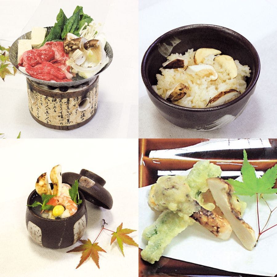 Chausuyama Onsen Mori no Yado Yuseikan