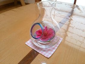 内宮さんの小さな隠れ宿　宿屋五十鈴