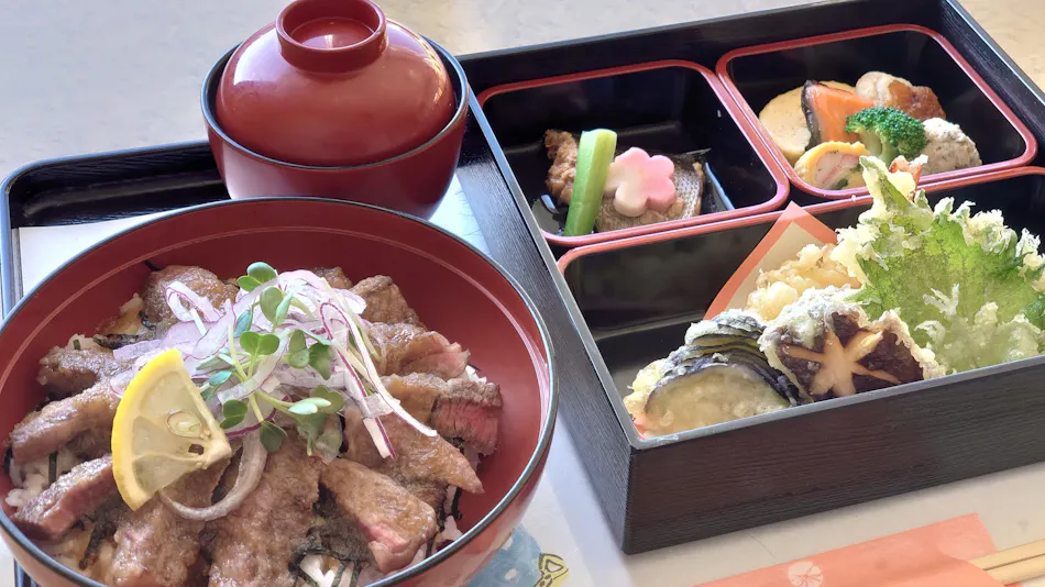 Shimane Hamada Washington Hotel Plaza