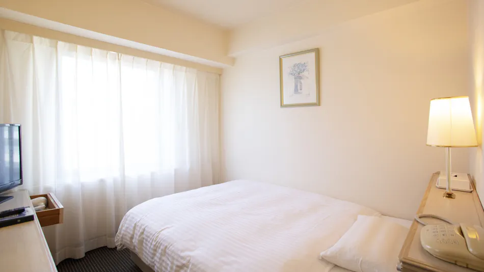 Shimane Hamada Washington Hotel Plaza