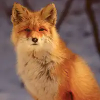 #สัมผัสธรรมชาติและชมสัตว์ที่บิเอ이