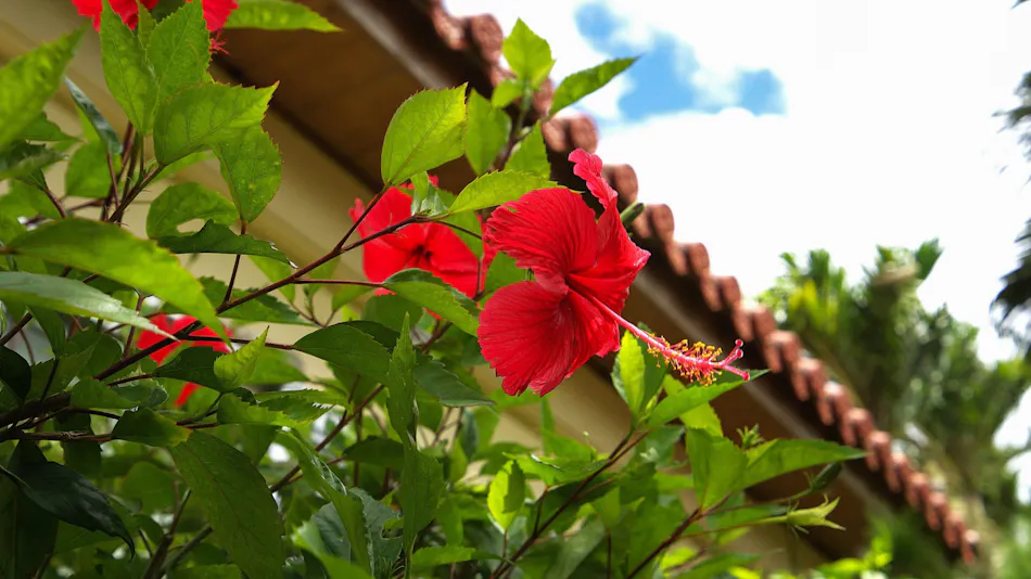 Nagahama Beach Resort KANON