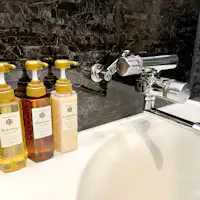 Shampoo and related products