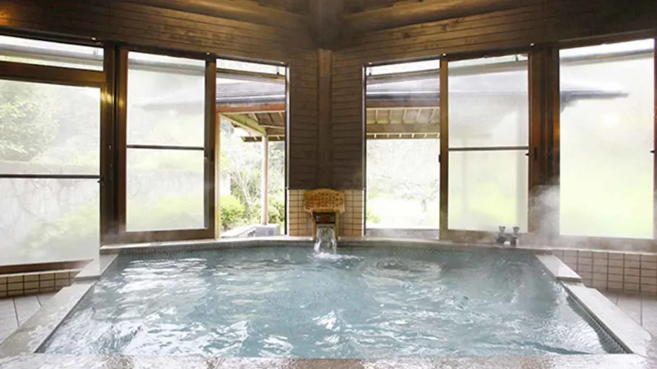 Seasonal Cuisine and Hot Springs Inn Tokiwaso