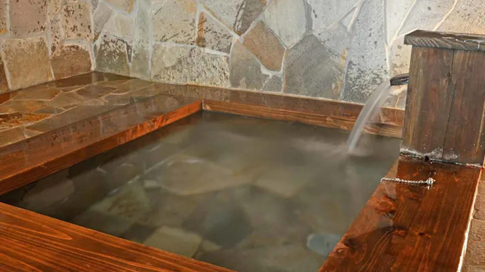 Seasonal Cuisine and Hot Springs Inn Tokiwaso