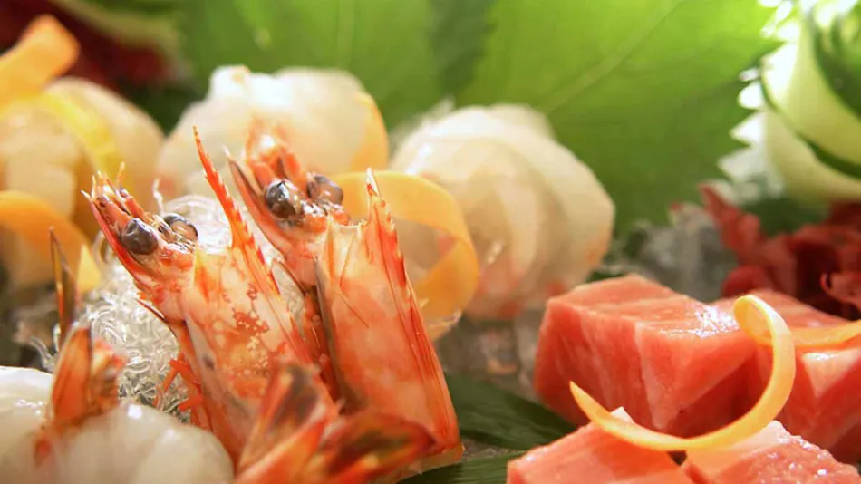 Seasonal Cuisine and Hot Springs Inn Tokiwaso