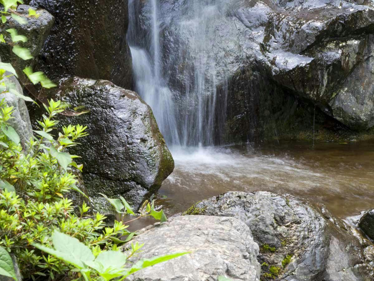Seasonal Cuisine and Hot Springs Inn Tokiwaso