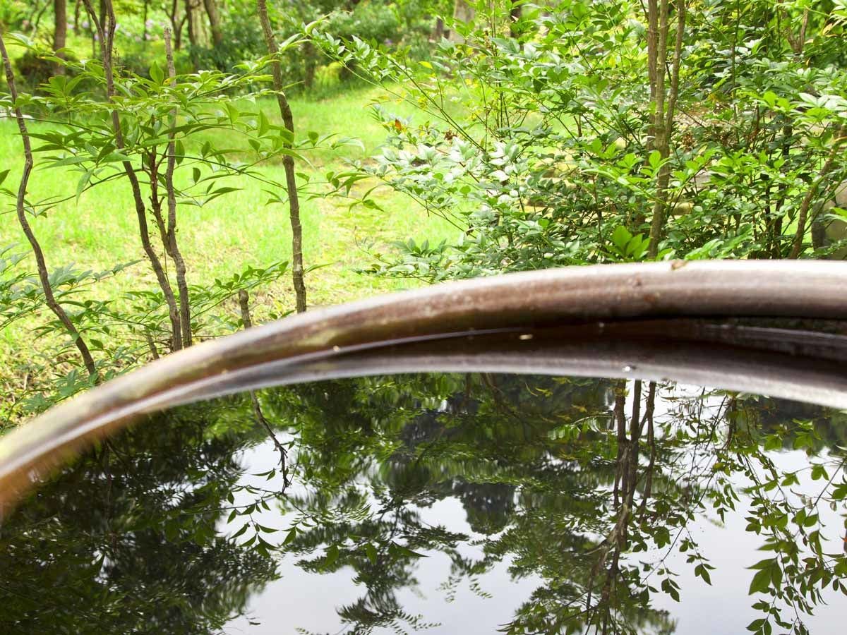 Seasonal Cuisine and Hot Springs Inn Tokiwaso