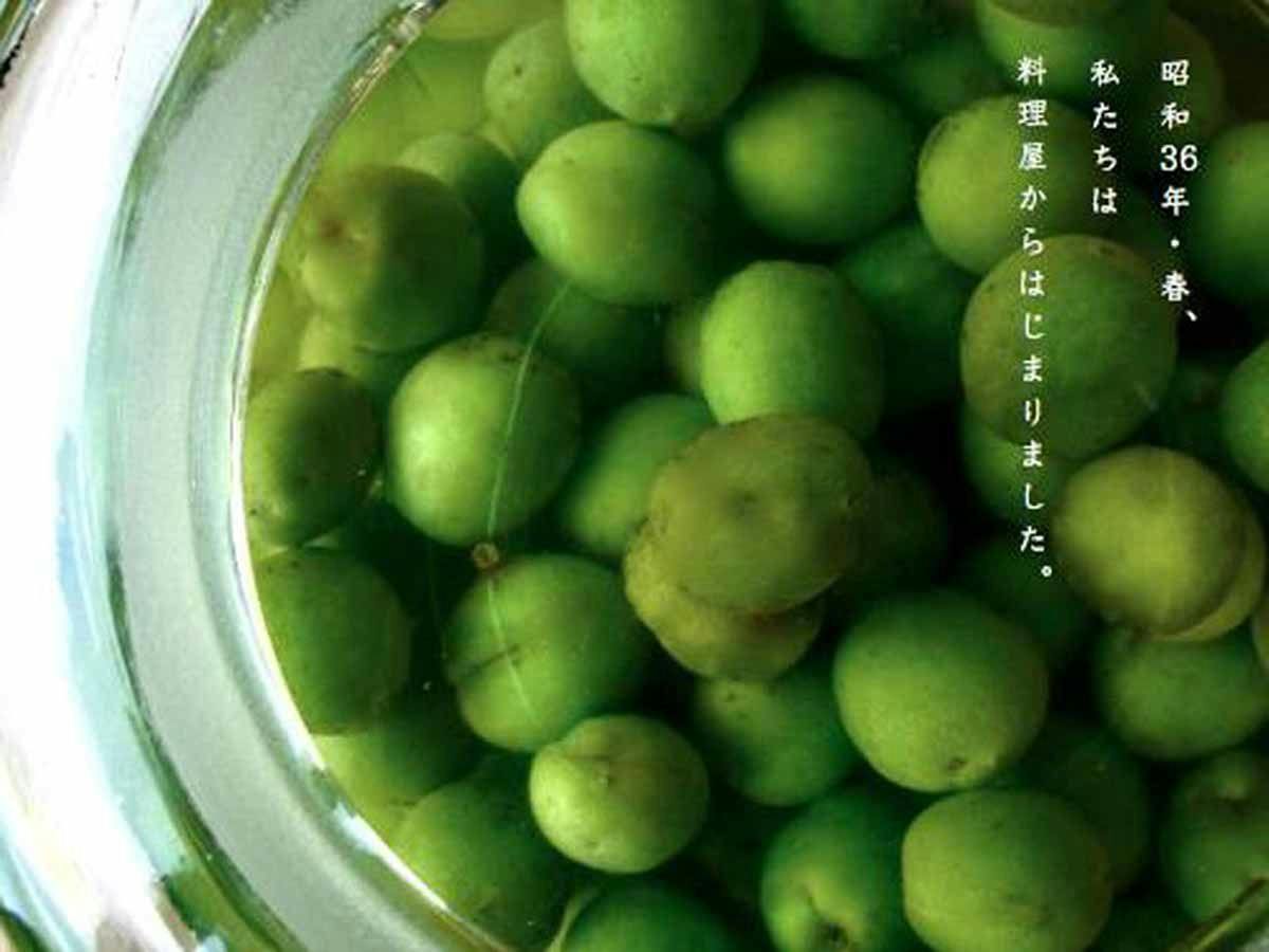 Seasonal Cuisine and Hot Springs Inn Tokiwaso