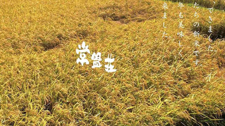 Seasonal Cuisine and Hot Springs Inn Tokiwaso