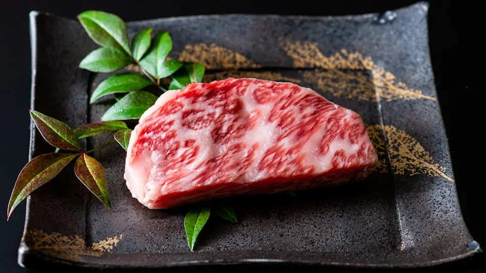 Seasonal Cuisine and Hot Springs Inn Tokiwaso