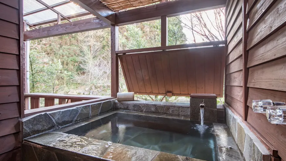Seasonal Cuisine and Hot Springs Inn Tokiwaso